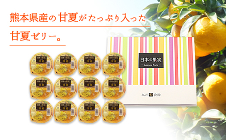 甘夏ゼリー12個ギフトセット 007-002