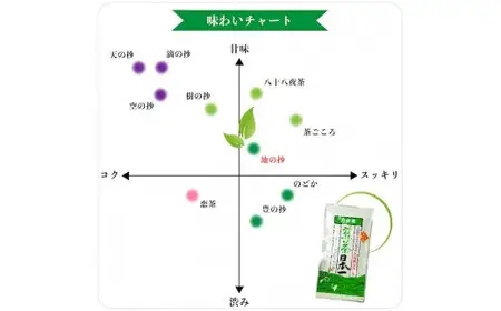 自社製造の深蒸しの八女茶！地の抄（ちのしょう）100g入り5袋入り　008-023