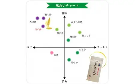 自社製造の深蒸しの八女茶！空の抄（くうのしょう）100g入り5袋セット　008-029