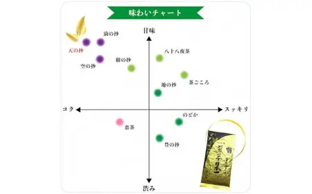 八女茶ギフト 最高級深蒸し茶2袋セット 天の抄　008-054