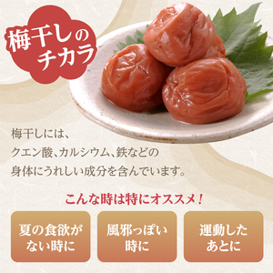 梅農家手造りの梅干食べ比べセット 小梅 うめぼし 無添加 紫蘇 ご飯のお供 福岡県 八女市 011-001