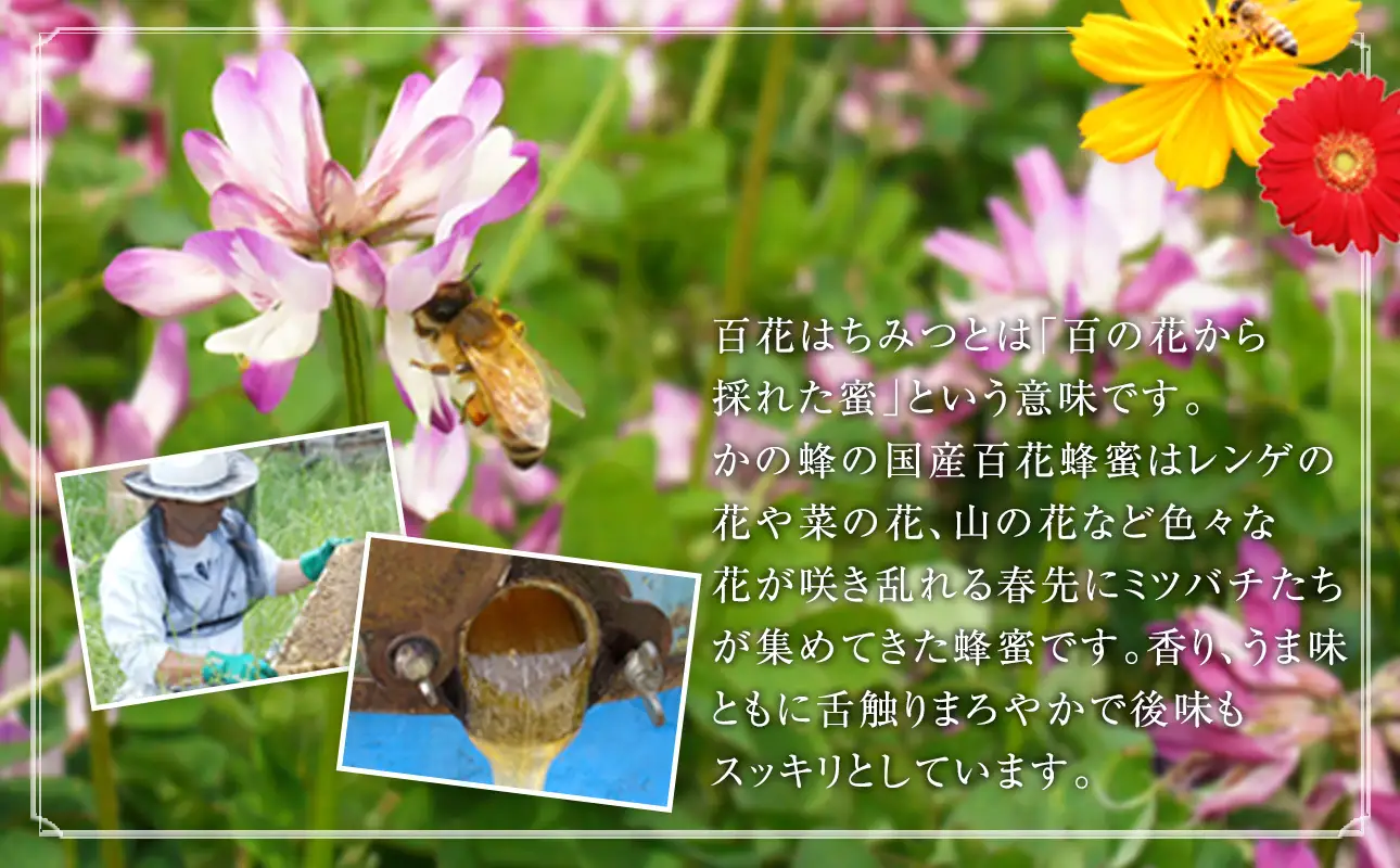 かの蜂 国産百花蜂蜜【1kg】（とんがりポリ容器）養蜂一筋60年自慢の一品 はちみつ ハチミツ 蜂蜜 純粋 常温 保存 備蓄 防災食 非常食 保存食 防災グッズ 福岡県 八女市 024-010