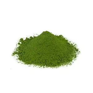 CAMP TEA STYLE（粉末緑茶）スティックタイプ 玉露（心）0.8g×20包 5袋セット　032-013