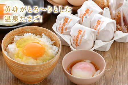 濃厚 プリン 6個 たまご 10個 ×2種 温泉たまご 8個 だし付き [ナカヤマエッグ 石川県 宝達志水町 38600467]
