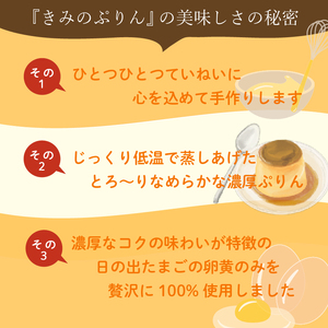 プリン きみのぷりん 3個入り スイーツ お菓子 デザート 濃厚 カラメル 三島ブランド 日の出たまご 卵 エッグ 手作り ギフト プレゼント おやつ 贈り物 詰め合わせ 絶品 とろとろ なめらか 濃厚プリン カスタードプリン 和三盆糖 自社工房 低温蒸し たまご専門店 三島市 静岡県