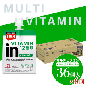 定期便 6回 ビタミンゼリー エネルギー補給 inゼリー マルチビタミン 36個入り グレープフルーツ 味 インゼリー ゼリー飲料 ゼリー まとめ買い 森永製菓 森永 栄養補給 ビタミン 12種類 1日分のビタミン 10秒チャージ スポーツ アスリート 遠征時 飲むゼリー 果汁 間食 小腹 栄養補助食品 補助食品 非常食 杉山 180g×36個×6回 三島市 静岡県