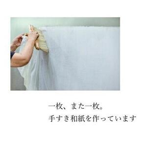【因州和紙】手すき画仙紙 (半切) 50枚入