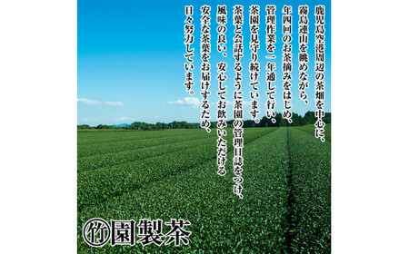 C-018 霧島茶　はやとかおり(詰合せ)品種めぐり茶セット、雅3本【マル竹園製茶】 