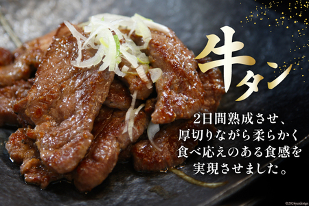 肉 牛タン 厚切 塩味 120g×2・牛タン サガリカルビ 辛みそ 250g×2 計740g [佐利 宮城県 南三陸町 30ag0009]