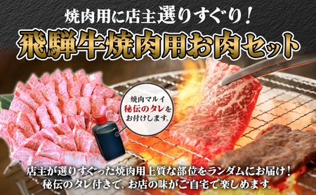 飛騨牛 焼肉用 A4～A5等級使用 約1kg 500g×2パック 肉 牛肉 和牛 ブランド牛 お肉 ビーフ A4ランク A5ランク 国産 お取り寄せ ご褒美 豪華 グルメ 焼肉 BBQ パーティー ギフト 贈り物 自家用 贈答用 送料無料 焼肉マルイ 岐阜県 【 安八町 】