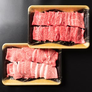 特選山形牛 焼肉セット カタ400g モモ400g 牛肉 黒毛和牛 ja-gnysx800