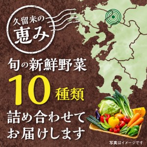 福岡県久留米市産 新鮮野菜セット_福岡県 久留米市産 新鮮野菜 セット 10品目 約10kg 旬の野菜 詰め合わせ 新鮮 季節 野菜 水菜 小松菜 ほうれん草 アスパラ キャベツ オクラ レイシ トマト 胡瓜 ニラ 玉葱 インゲン 茄子 春菊 ブロッコリー 大根 旬 料理 久留米市 冷蔵 お取り寄せ 送料無料 〔Gv025〕