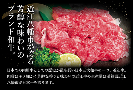 近江牛 A5 ランク 切落し 500g 訳あり げんさん 【DG12W】近江牛 切り落とし 牛肉