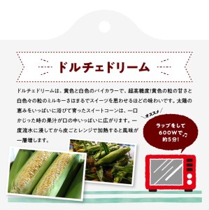 【令和8年発送】大山さんちのスイートコーン(ドルチェドリーム)4.5kg 【 先行予約 数量限定 期間限定 2026年発送 先行受付 宮崎県産 九州産 】
