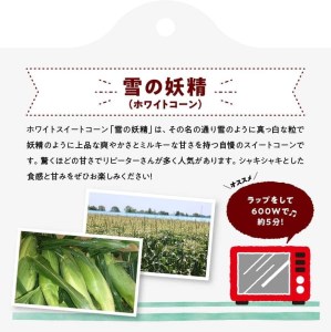 【令和8年発送】大山さんちのホワイトコーン(雪の妖精)5～8本 スイートコーン