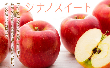 訳あり りんご 上伊那産 シナノスイート 4.5kg 16～18玉 林檎 リンゴ 傷 キズ 果物 くだもの フルーツ 旬の果物 旬のフルーツ 家庭用 訳アリ 信州 長野 長野県