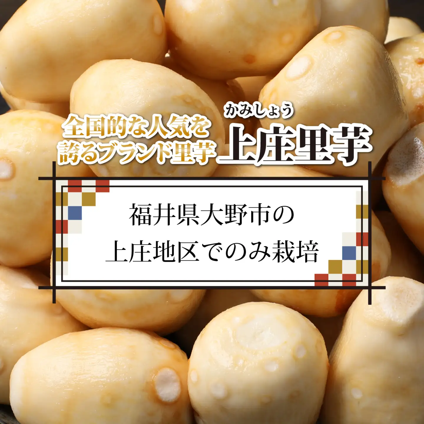 【先行予約】【皮むき不要】減農薬・減化学肥料の特別栽培里芋 上庄里芋 冷凍 洗い子 2kg【10月上旬ごろから順次発送】年内発送