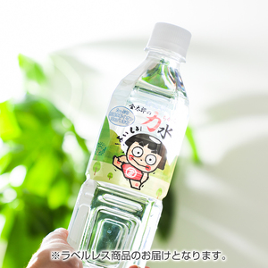 おためしAセット 南足柄 金太郎の力水 ラベルレス 500ml×48本（24本入×2箱）【 飲料水 天然水 ミネラル ウォーター 美味しい 水 お水 まとめ買い 災害 備蓄品 保存 神奈川県 南足柄市 】