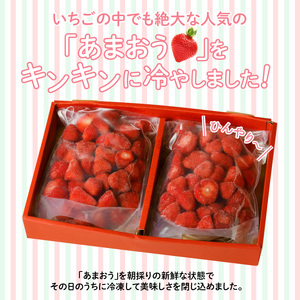 うるう農園の冷凍あまおう2kg_あまおう 2kg 冷凍 甘い 濃厚 新鮮 いちごの王様 うるう農園 いちご 果物 アレンジ おやつ フルーツ スイーツ スムージー ジャム アイス けずり苺 お取り寄せ お取り寄せグルメ 福岡県 久留米市 送料無料 〔Fi204〕