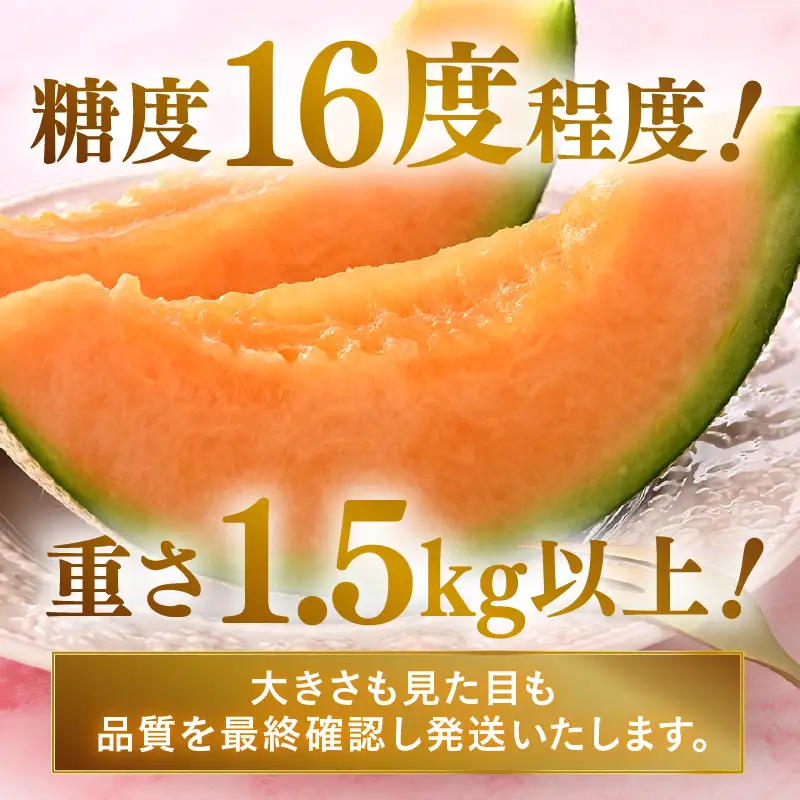 【先行予約】赤肉パリスメロン 秀品 2玉（1.5kg以上×2玉）【アールス系赤肉メロン】《糖度16度程度！1株1果採りで育てる高級メロン！》／ 果物 フルーツ 農家直送 赤肉 マスクメロン アールスメロン ギフト 贈答用 ※2026年7月上旬より順次発送予定 [aw028-a003]