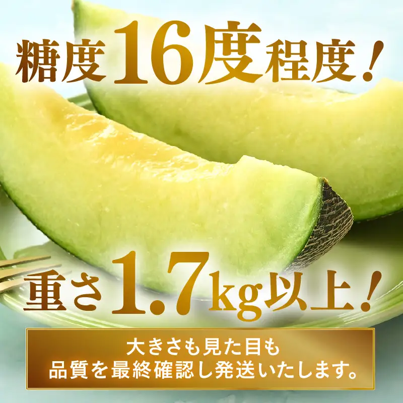 【先行予約】青肉ペルルメロン 秀品 1玉（1.7kg以上）【ネット系青肉メロン】《糖度16度程度！1株1果採りで育てる高級メロン！》／ 果物 フルーツ 農家直送 青肉 ネット系メロン ギフト 贈答用 ※2026年7月上旬より順次発送予定 [aw028-a006]