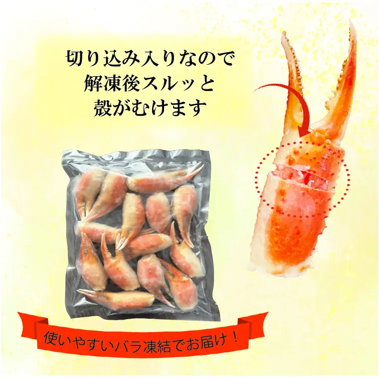 ボイル ずわいがに 爪 500g×1  かに _AF017