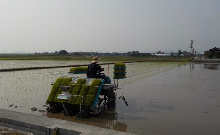 米 10kg 玄米 ゆめつくし お米 
