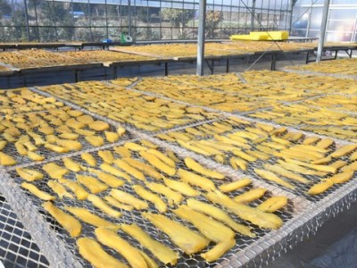 0007-61-01 富士山麓 干し芋 160g×2袋