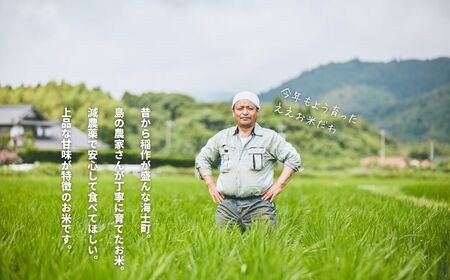 【 本氣米3kg：コシヒカリ】甘くてもっちり島のブランド米 本氣米 お米 精米 白米 弁当 ごはん ご飯 おにぎり 年末年始 お正月 お歳暮 御歳暮 ギフト