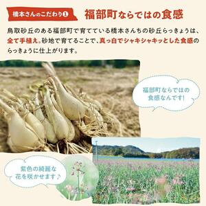 橋本さんちの砂丘らっきょう甘酢漬け 500g