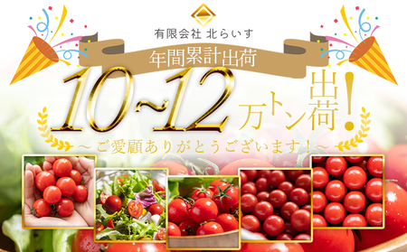 トマト フルーツトマト 2kg 高糖度〈2026年12月以降順次配送分〉 kr-0085