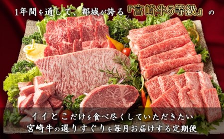 特選(A5)宮崎牛の宝箱 (12ヶ月定期便)_TAH12-0101_(都城市) 宮崎牛 5等級 12ヶ月定期便 サーロイン芯スライス モモスライス シャトーブリアンステーキ 特上モモステーキ ロース焼肉用 ヒレステーキ