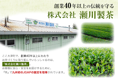  色が変わる日本茶 サンルージュ 5袋セット (1袋10バッグ入り) ティーバッグ 《60日以内に出荷予定(土日祝除く)》熊本県 大津町産 株式会社 瀬川製茶 新品種 希少 ピンク 緑茶