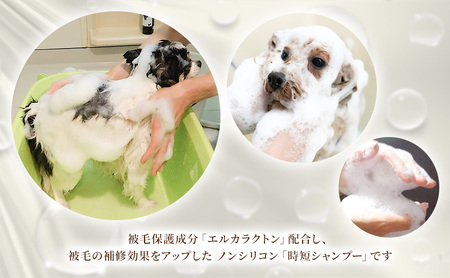 【犬用】リニューアル アーユルニームシャンプー200ml ・ 詰替用　200ml セット 雑貨 日用品 