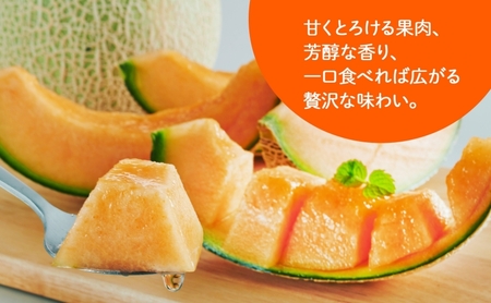 ＜2026年発送＞ ふらの産 しあわせのメロン 赤肉 大玉 1玉 約2.3kg メロン 富良野メロン