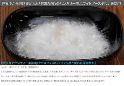 【河田フェザー使用】 ナノクリスタル 羽毛掛けふとん シングルロング （NC-01） ECOダウン フェザー 高級 ふとん 布団 フトン 寝心地 品質 高級 ホテル 掛け布団 日本製 河田フェザー 羽毛布団 睡眠 シングル エコ ホワイト 清潔