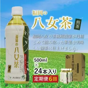 八女茶 煎茶ペットボトル 500ml×24本 【6ヵ月定期便】【J14-001】