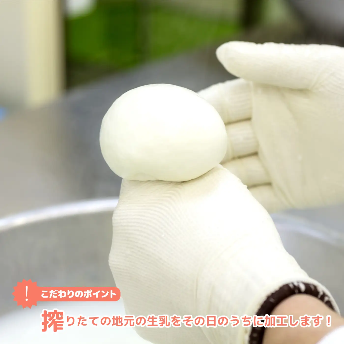 【島根県産】店長おすすめナチュラルチーズセット！バジルソース付き
