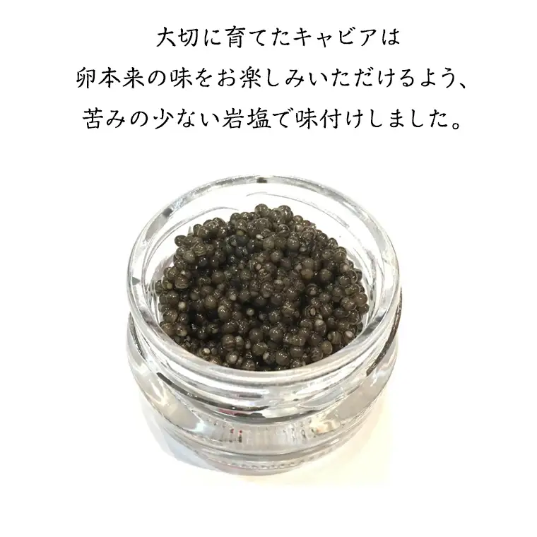 つくばスタージョン キャビア 20g×1  高級食材 記念日 誕生日 世界三大珍味 国産キャビア 茨城県産 茨城[AI005sa]