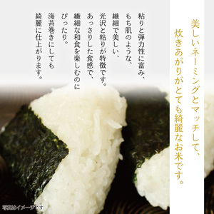 武田家のお米 墾 あきたこまち 精米 20kg 農薬 化学肥料 ：栽培期間中 不使用 【米農家 仁左ェ門】 米 こめ コメ 白米 ご飯 ごはん ライス おにぎり 弁当 お弁当 単一原料米 20キロ ２０kg 20ｋｇ 4袋 お取り寄せ 産地直送 農家直送 国産 岩手県産 オススメ おすすめ 人気