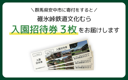 入園招待券3枚セット ANAE001