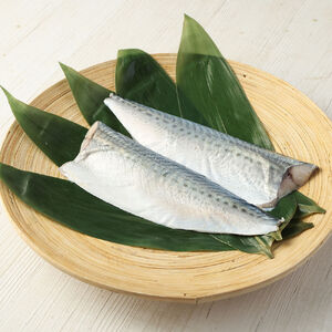 清水さばのしめ鯖2枚セット（即日〆ブランドゴマサバ中サイズ・1枚あたり約110g～130g）【R00125】