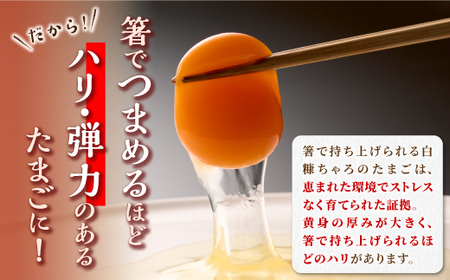 たかはしさんの新鮮たまご30個_I010-0533