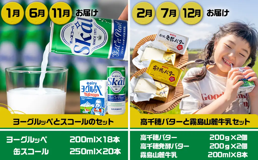 『なつかしの飲料と乳製品』オリジナル定期便(5ヶ月)〔TAA5-2301〕_ (都城市) ヨーグルッペ スコール 高千穂バター霧島山麓牛乳 デーリィ牛乳 コーヒーサワー ヨーグルッペりんご ご当地飲料 5か月毎月お届け
