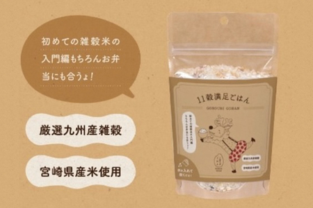 米 無洗米 11穀満足ごはん ごほうびごはん 250g×4 計 1kg [DANBO*DELI 宮崎県 日向市 452060022]