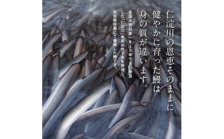“土佐料理司”三代目天の鰻蒲焼2尾セット（ウナギ・たれセット）〈高知市共通返礼品〉