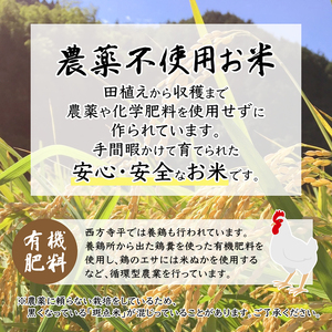 令和7年度産 棚田米 玄米 5kg コシヒカリ 栽培期間中 農薬不使用 お米 玄米