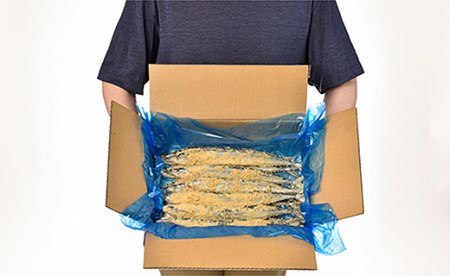 【北海道産】新鮮糠さんま 12尾×2箱（化粧箱入り） ふるさと納税 魚 F4F-3853