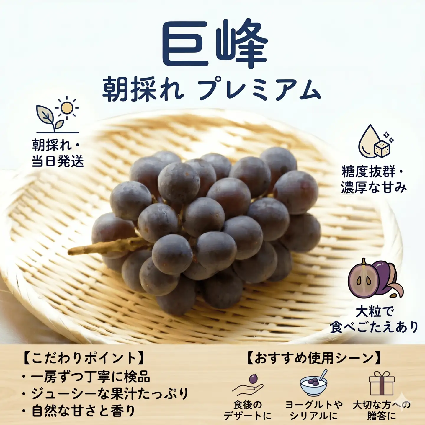 新鮮産直！巨峰 約1.5kg 2～4房【2026年発送】葡萄 フルーツ ぶどう RYE