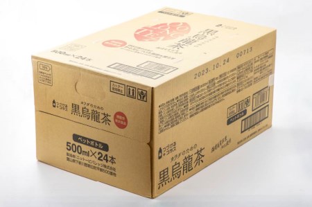 【6回 定期便 】 つづけるプラス カラダのための 黒烏龍茶 500ml × 24本 × 6回 総計144本 [Nビバレッジ 富山県 朝日町 34310201]